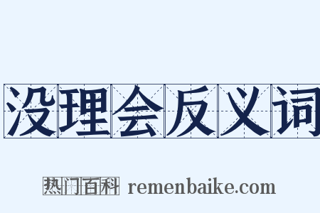 没理会反义词是什么意思的图片
